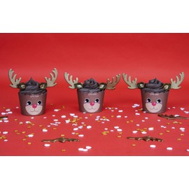 PME Cupcake Decorating Kit with Edible Toppers, Reindeer