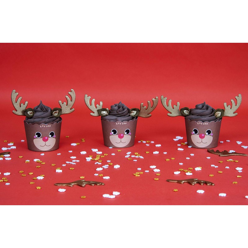 PME Cupcake Decorating Kit with Edible Toppers, Reindeer