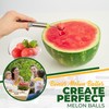 Aisle 3 Essentials Stainless-Steel Windmill Watermelon Cutter and Melon-Baller Set,