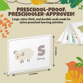 Animal 123 and ABC Flash Cards for Babies, Toddlers, Pre-K and Kindergarten Children | Complete Alphabet in Uppercase and Lowercase With Numbers For Toddler Learning | 46 Extra Thick Flashcards