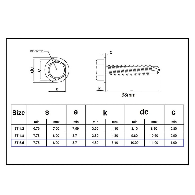 TERF® 5.5 X 38mm Hex Washer Head Self Drilling Point