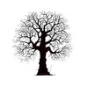 Lavinia Stamps, Clear Stamp - Oak Tree