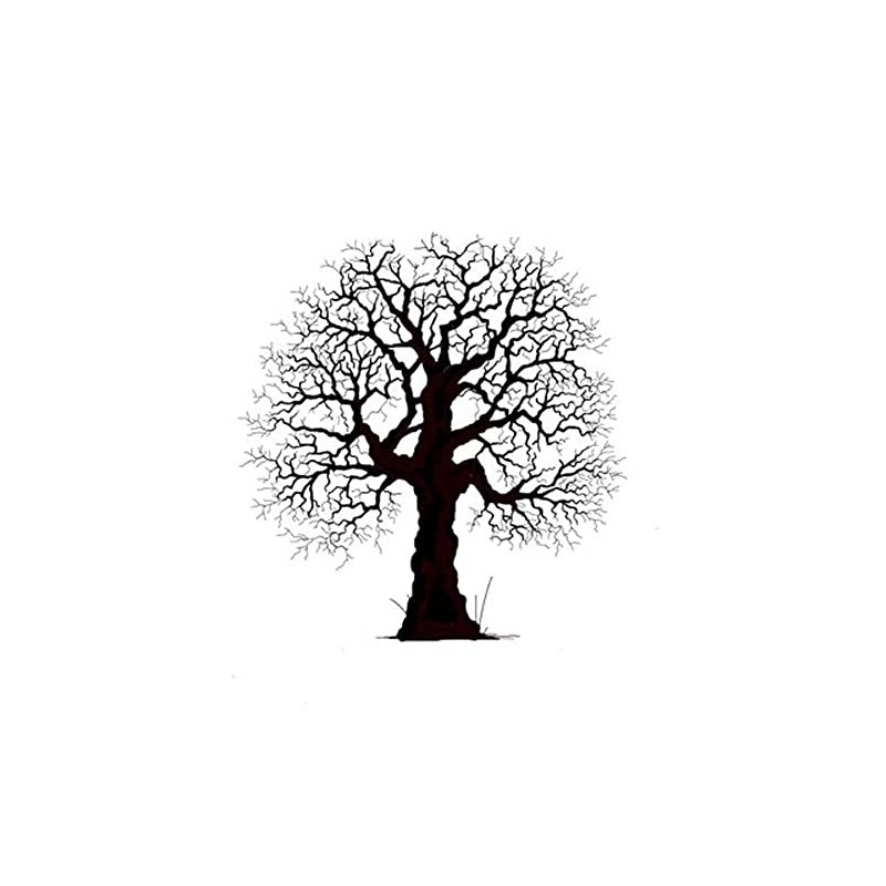 Lavinia Stamps, Clear Stamp - Oak Tree
