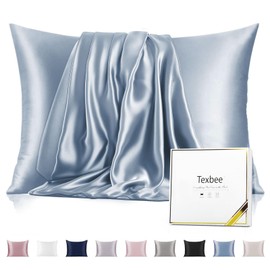 Texbee 100% Mulberry Silk Pillowcase for Hair and Skin with Hidden Zipper, Both Side 23 Momme Silk, Standard Size 1 Pack Gifts for Women Men (50x66CM, Flint Blue)