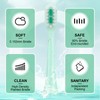 Compatible with AquaSonic Icon Electric Toothbrush Replacement Toothbrush Heads,for AquaSonic