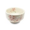 aquanaut Mino Ware Japanese Matcha Bowl Chawan Shiroyama Sakura Diameter