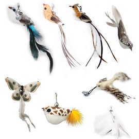 YIDM Cat Toy Feather Cat Angel Replacement Feathers: 8 Pieces Interactive Cat Toy Feather with Bell, Cat Fishing Rod Replacement Feathers, Cat Toy Interactive Feather Intelligence Toy