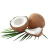 Activated Coconut Carbon Filter Water Treatment, Granules Grain Size 2.36