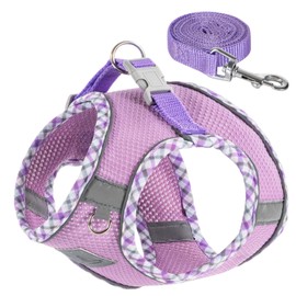 TomteNisse Dog Harness and Leash Set, No Pull Pet Harness for Small Dogs Easy Walking,Soft Breathable Small Dog Harness,Adjustable Reflective Step in Vest Harness for Puppy,Kitten, Cats