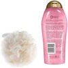 Kit Esponja Suave EcoTools y Body Wash Sal Rosa OGX
