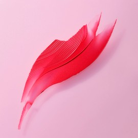 Rimmel Lasting Finish Lipstick Nº170