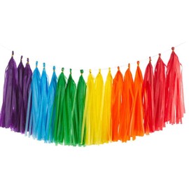 Ainmto 30 Pieces Tissue Paper Tassels Garland Colorful Paper Tassels Banner for Party Decorations - (Red/Orange/Yellow/Dark Green/Sky Blue/Purple)