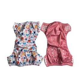 Reusable Swimming Nappy 2 pcs with Waterproof Carry Bag (Pink)