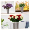 BESPORTBLE 4pcs Transparent Slotted Orchid Pots Breathable and Flower Containers