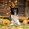 Thanksgiving Dog Bandanas Fall Leaves Reversible Triangle Bibs Dog Scarfs
