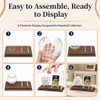 Baseball Display Case with Card Holder, Wood Base