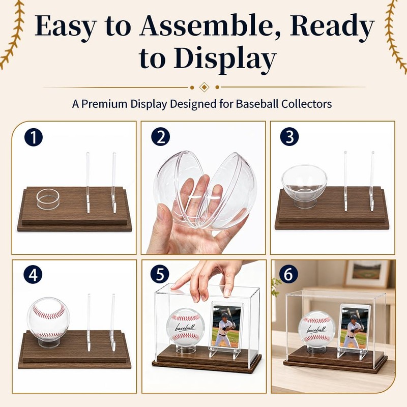 Baseball Display Case with Card Holder, Wood Base