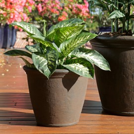 Sunnydaze Anjelica Planter, Outdoor/Indoor Unbreakable Double-Walled Polyresin with UV-Resistant Rust Finish, Set of 2, 16-inch Diameter