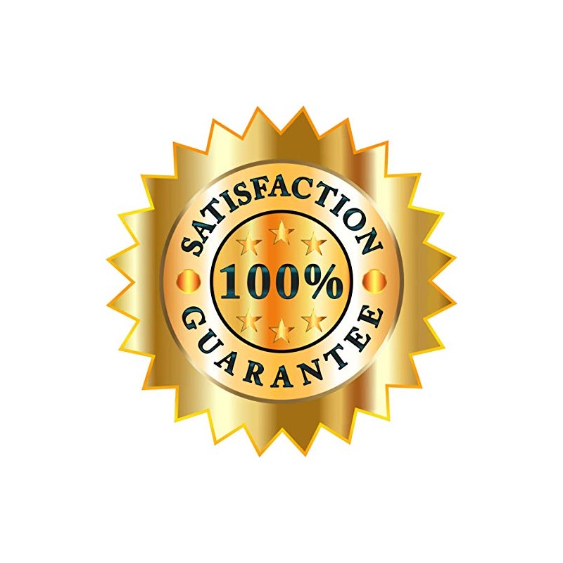 Rocking Raccoon Sticker/Decal