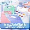 Himemaru File Print Organizer, A4 Vertical Tongue File Vertical <13