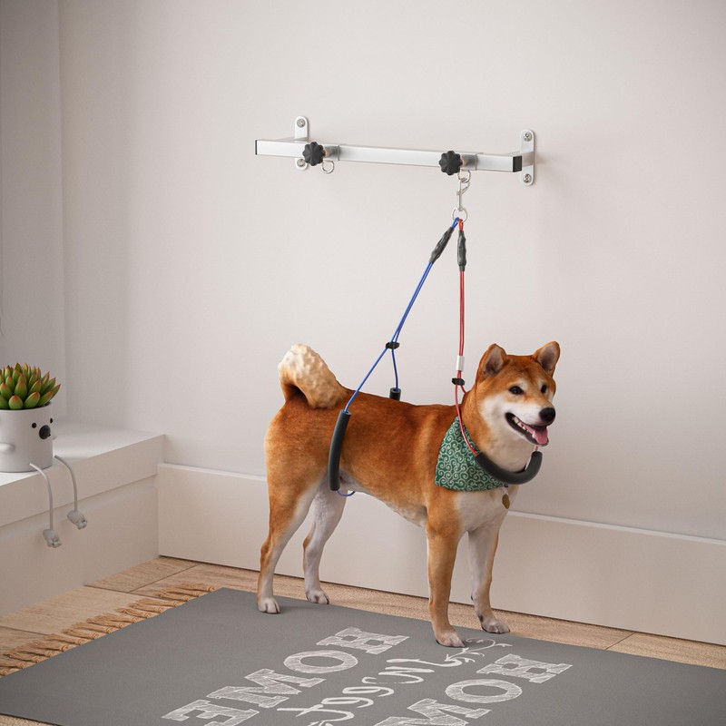 Dog Grooming Holder for Bathing - Wall-Mounted Adjustable Pet Grooming