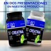 Suplemento Creatina + Glutamina Nit-pro 1kg En Polvo Sabores