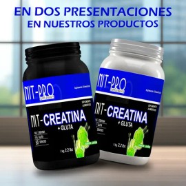 Suplemento Creatina + Glutamina Nit-pro 1kg En Polvo Sabores