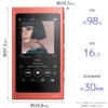 SONY Walkman A Series NW-A40