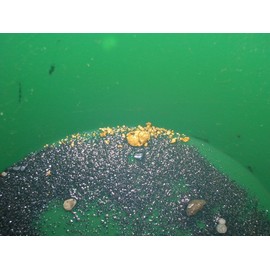 Gold Paydirt 10 LB from Colorado - Special Reserve Blend 2021 - Gold Paydirt Bags - Guaranteed Unsearched Material - Pan at Home - Guaranteed Gold