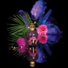 Ashleigh & Burwood Duftlampe klein 'Dark side of the Moon'
