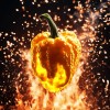 Soda City Greens Reapion (Reaper x Scorpion Hybrid) Hot Pepper