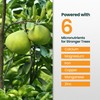 32oz Citrus Fertilizer - Makes 32 Gallons of 2-in-1 Citrus
