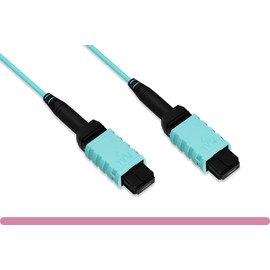 RiteAV - MPO Female to MPO Female OM4 Multi-Mode 12 Strand Fiber Optic Trunk Cable (Type B) 10 Gb/s, 40 Gb/s, and 100 Gb/s (10 Meter (30 Feet))