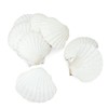 8PCS White Large Scallop Shells 4-5 inch, Natural Seashells for