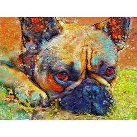 French Bulldog Dog Wall Art Décor, Frenchie Dog Memorial, Abstract Frenchy Dog Picture Gift Choice of Sizes Hand Signed by Dog Portrait Artist Oscar Jetson. (a4)