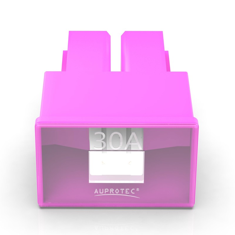 Auprotec® PAL AS Auto Link Fuses Slow Blow female OTO