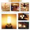 FKNZUA E11 led Bulb 75w 100w Halogen Bulbs Replacement, JD