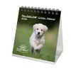 Hundezauber Golden Retriever Tischkalender 10cm x 10cm für 2026 Welpen