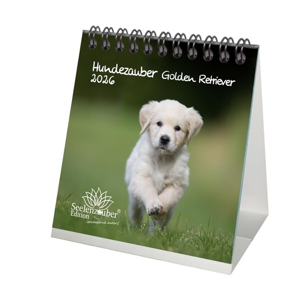 Hundezauber Golden Retriever Tischkalender 10cm x 10cm für 2026 Welpen