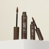 Etude [에뛰드]청순거짓 브라우카라 대용량 기획세트 [Etude] Innocent Lies Browcara Large