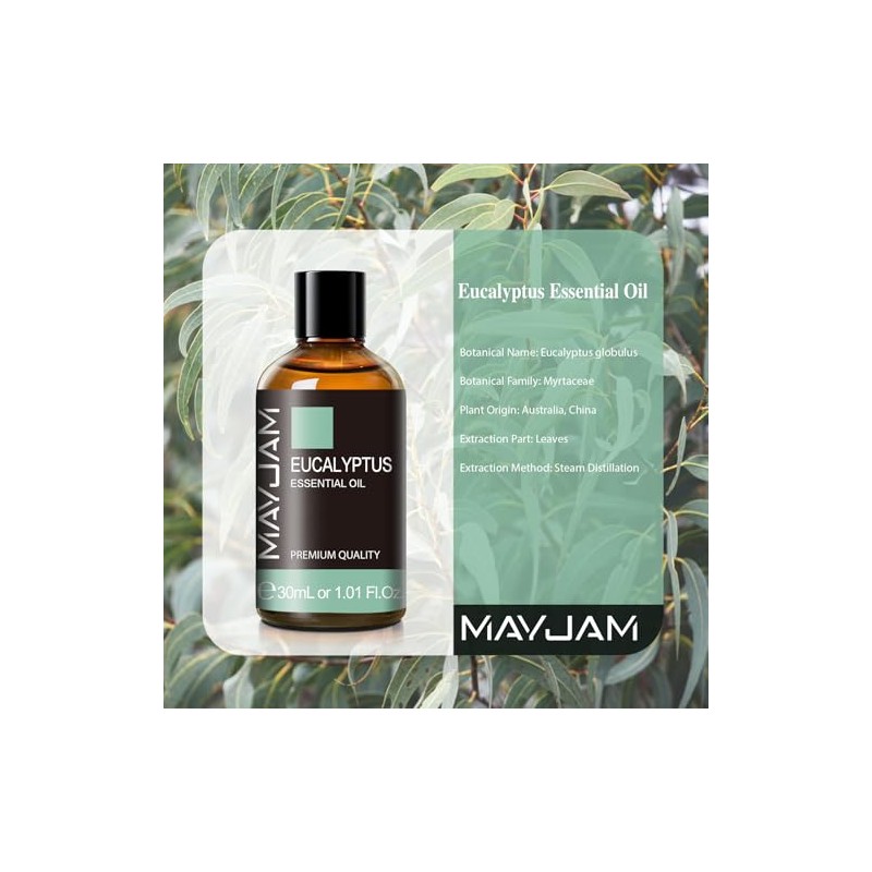 MAYJAM MAYJAM Eukalyptus ?therisches ?l 30ML, Eukalyptus?l fr Diffusor, Luftbefeuchter,