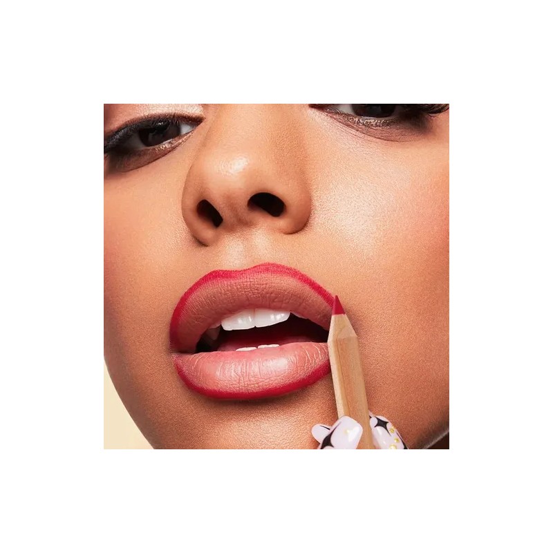 6pcs Juego Delineador Wooden Lip Pencil Labios Impermeable