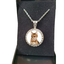 PJ4U Bengal Cat Pet Family Silver Colour Necklace With Diamante Pendant And Gift Box