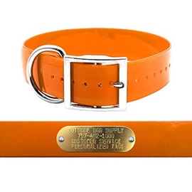 Heavy Duty 1 1/2" D Ring Hunting Dog Name Collar with Free Brass ID Plate (Orange)
