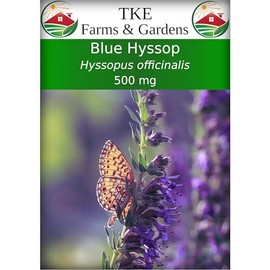 TKE Farms & Gardens - Hyssop Seeds for Planting, 500 mg, 500 Heirloom Seeds, Non-GMO, Packet Includes Instructions, Hyssopus officinalis, Qty 1
