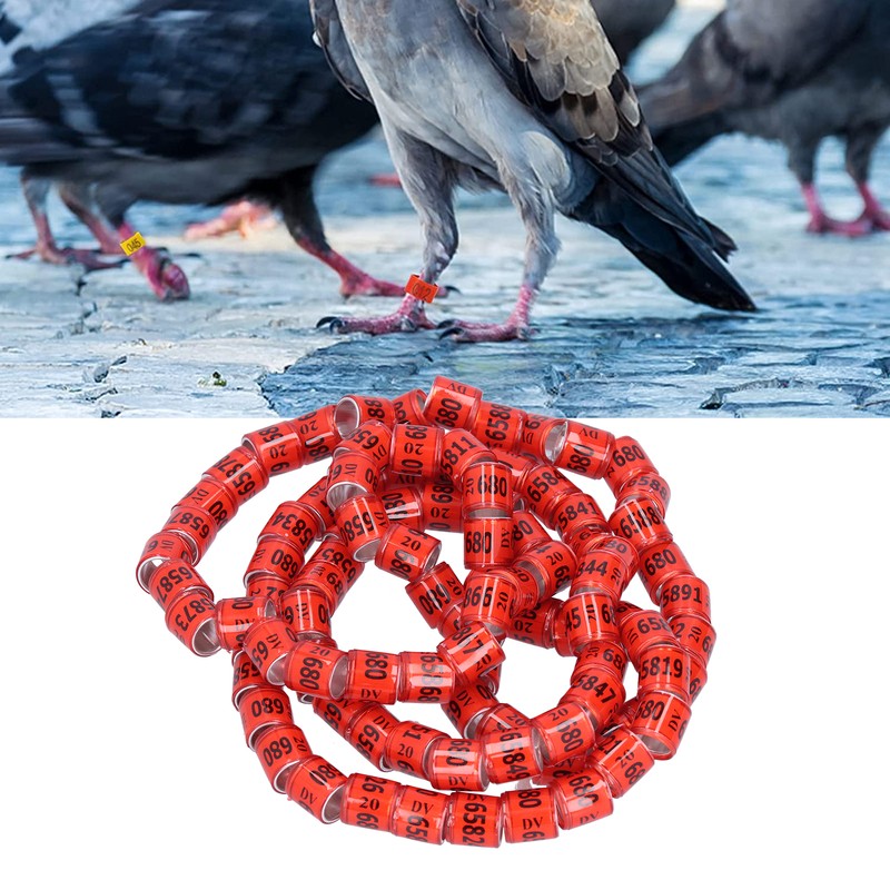 100Pcs 8mm Pigeon Leg Bands Aluminum Alloy Non Competition Recognizable