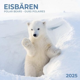 Polar Bears/Eisbärchen 2025: Kalender 2025 (Artwork Edition)