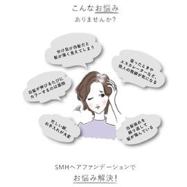 SMH Hair Foundation 12g No.2 Dark Brown
