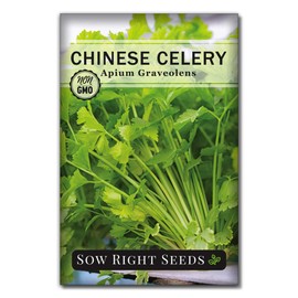 Sow Right Seeds - Celery Seed Collection for Planting - Chinese and Tall Utah Celery - Cold Hardy Veg - Non-GMO Heirloom Packets with Instructions to Plant and Grow a Home Garden - Fresh & Crisp