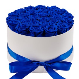 Otuo 27 Piece Preserved Roses in a Box - Forever Flowers for Delivery Prime, Eternal Roses Mothers Gifts for Mom, Wife Anniversary Birthday Gifts for Women, Blue